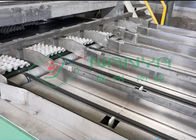 Masse formte 600m2 Papierei Tray Manufacturing Machine